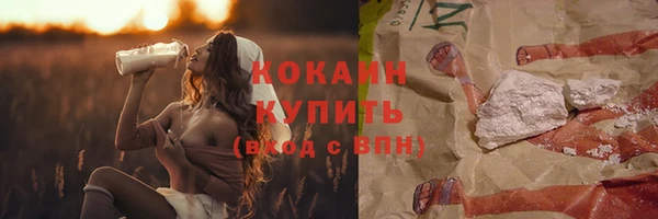 прущие грибы Баксан