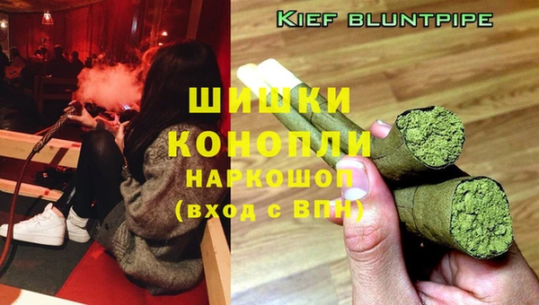 ALPHA PVP Богданович
