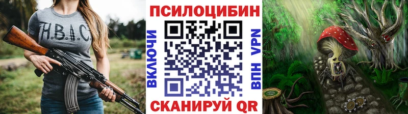 кракен ссылки  Буйнакск  Псилоцибиновые грибы Magic Shrooms  купить  